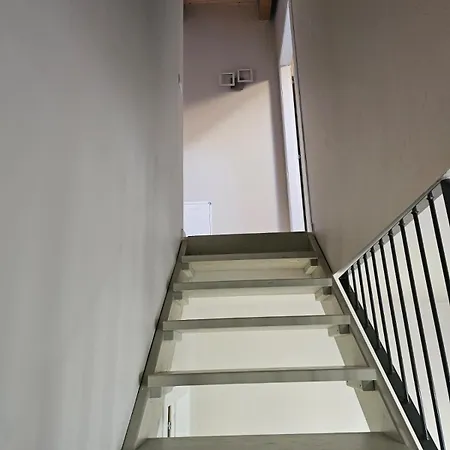 - Homezon * 스카마노